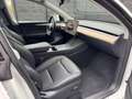 Tesla Model Y Model Y Performance Dual Motor Wit - thumbnail 19