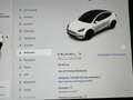 Tesla Model Y Model Y Performance Dual Motor Wit - thumbnail 13