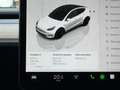 Tesla Model Y Model Y Performance Dual Motor Wit - thumbnail 10