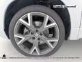 SEAT Ateca 1.5 ecotsi fr 150cv dsg Bianco - thumbnail 12