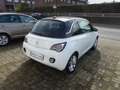 Opel Adam 120 Jahre Cabrio ,elektr.Faltdach Blanco - thumbnail 7