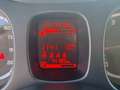 Fiat Panda 1.0 FireFly S&S Hybrid City Life Bianco - thumbnail 11