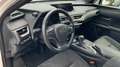 Lexus UX 250h Business City 2WD - thumbnail 8