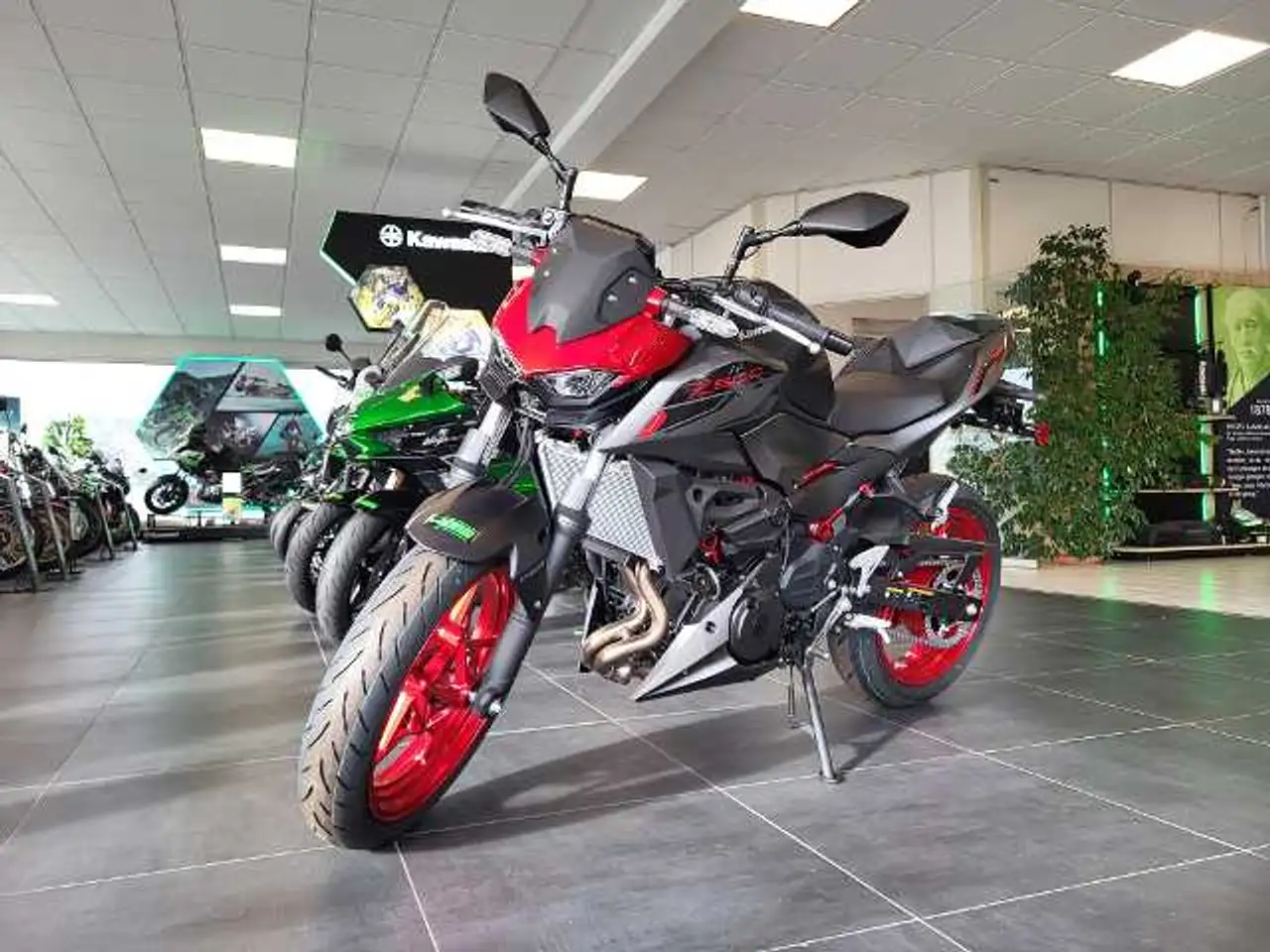 Kawasaki Z 500