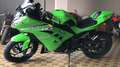 Kawasaki Ninja 300 zelena - thumbnail 1