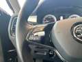 Skoda Kodiaq 1.5 TSI DSG Tour *AHK*Sitzhz-hi*el Heck* Schwarz - thumbnail 25
