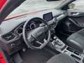 Ford Focus ST mit Styling-Paket 2.3 EcoBoost S&S Rot - thumbnail 10