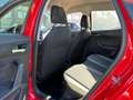 SEAT Arona 1.0 TGI 90cv Xcellence METANO Rosso - thumbnail 11