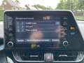 Toyota C-HR 2.0 Hybrid First Edition Gris - thumbnail 18