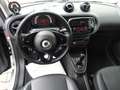 smart forTwo electric drive EQ Schnelllader 22kw DAB Shz Tmat Argento - thumbnail 4