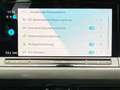 Volkswagen Golf VIII 2.0 TDI Style DSG ACC Panorama LED Grau - thumbnail 14