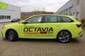 Skoda Octavia OCTAVIA COMBI RS 2.0TDI DSG+AHK+PACC+CHALLENGEPAKE Vert - thumbnail 8