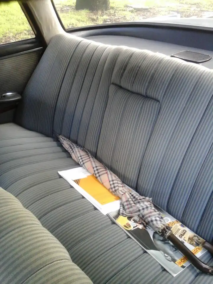 Mercedes-Benz 220 Sb Heckflosse, foto 4