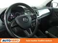 Skoda Fabia 1.0 MPI Ambition*LIM*PDC*KLIMA*TOUCH* Grau - thumbnail 11