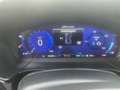 Ford Kuga Vignale 2.5 DuraTec PHEV Autom Blau - thumbnail 9