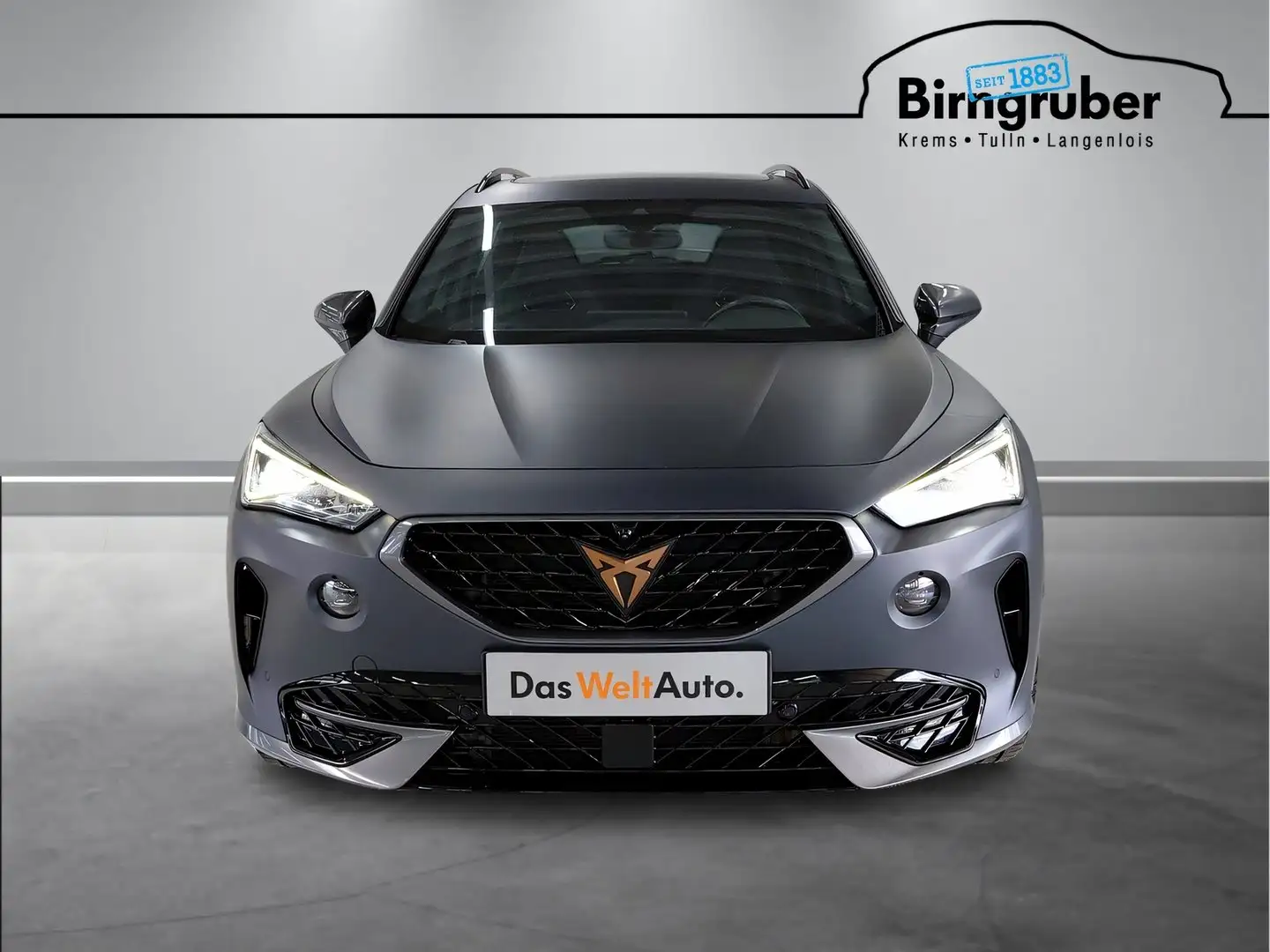 CUPRA Formentor VZ e-HYBRID 245 PS DSG Grau - 2