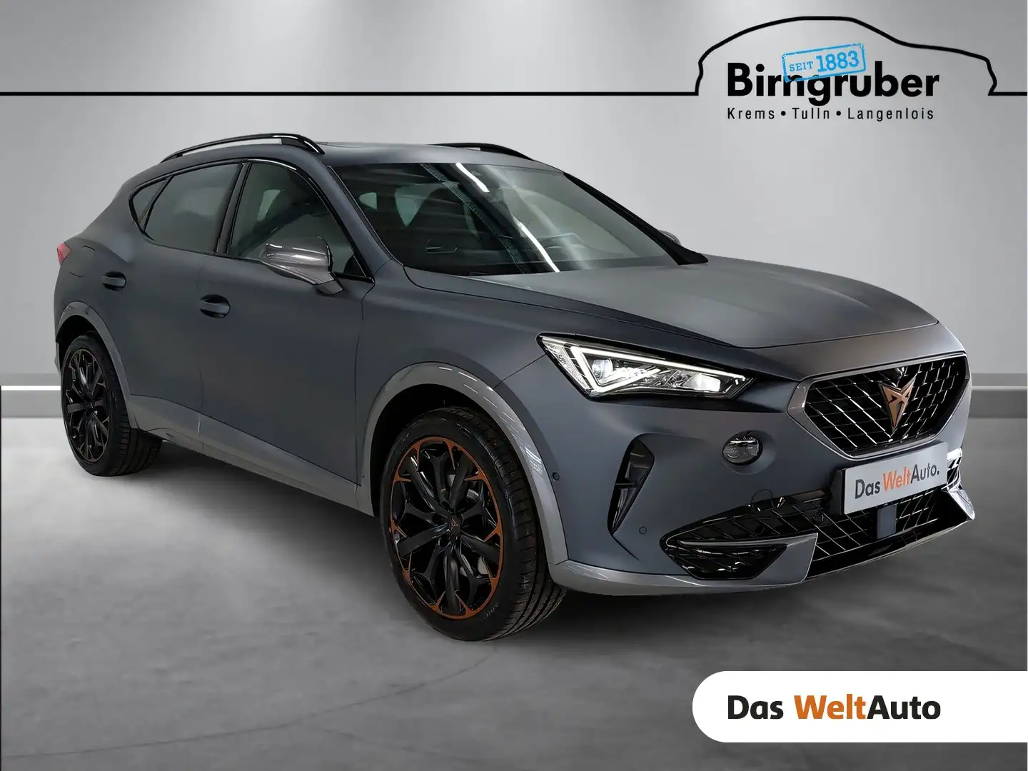 CUPRA Formentor VZ e-HYBRID 245 PS DSG Grau - 1