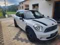 MINI Cooper D Countryman MINI Countryman COOPER D ALL4 COOPER Weiß - thumbnail 3