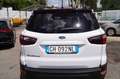 Ford EcoSport 1.0 EcoBoost 125 CV Active GPL sedili in pelle Blanco - thumbnail 5