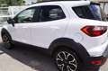 Ford EcoSport 1.0 EcoBoost 125 CV Active GPL sedili in pelle Blanco - thumbnail 6