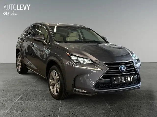 Lexus NX view 8