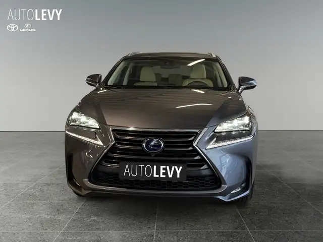 Lexus NX view 9