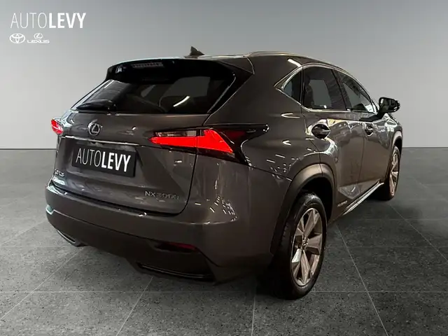Lexus NX view 6