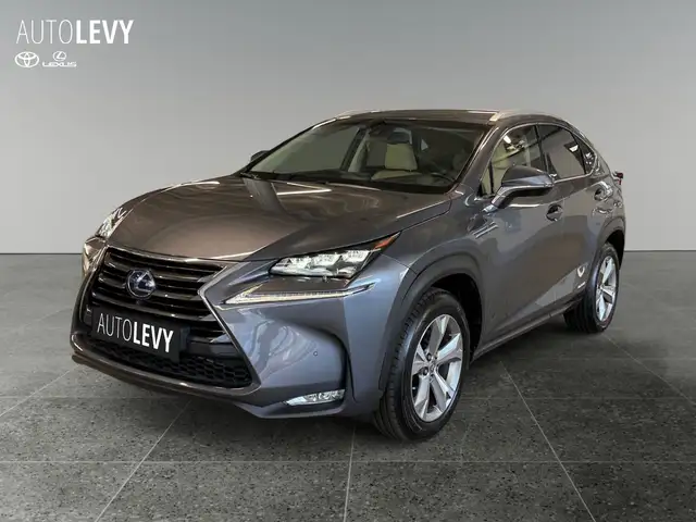 Lexus NX view 2
