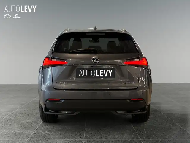 Lexus NX view 5