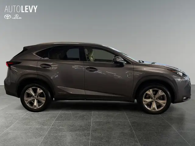 Lexus NX view 7