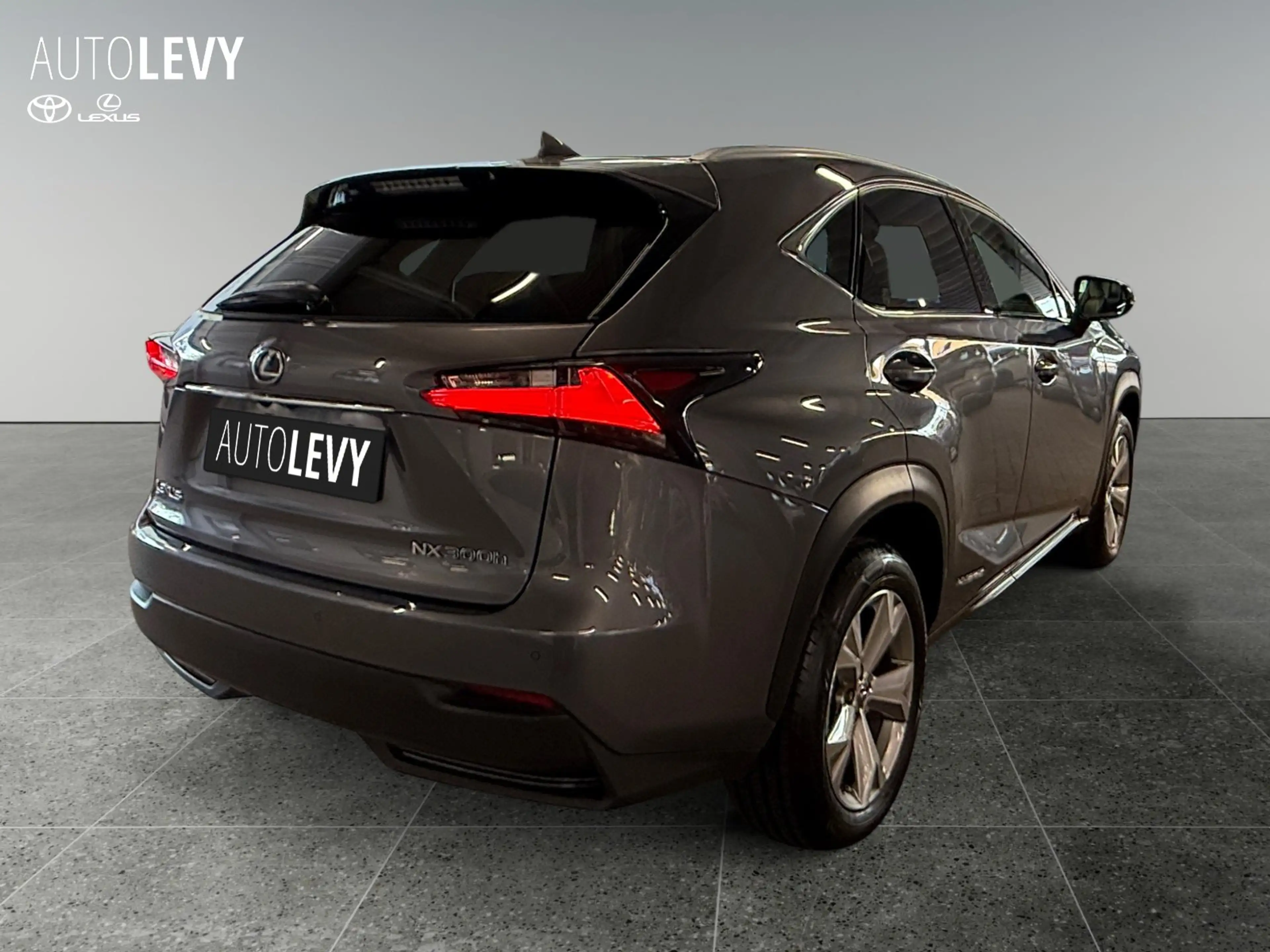 Lexus NX 300h Mark Lewinson +HeadUp+PDC+SHZ+Leder+ — photo 6