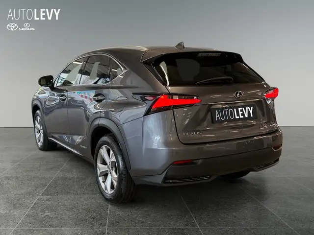 Lexus NX view 4
