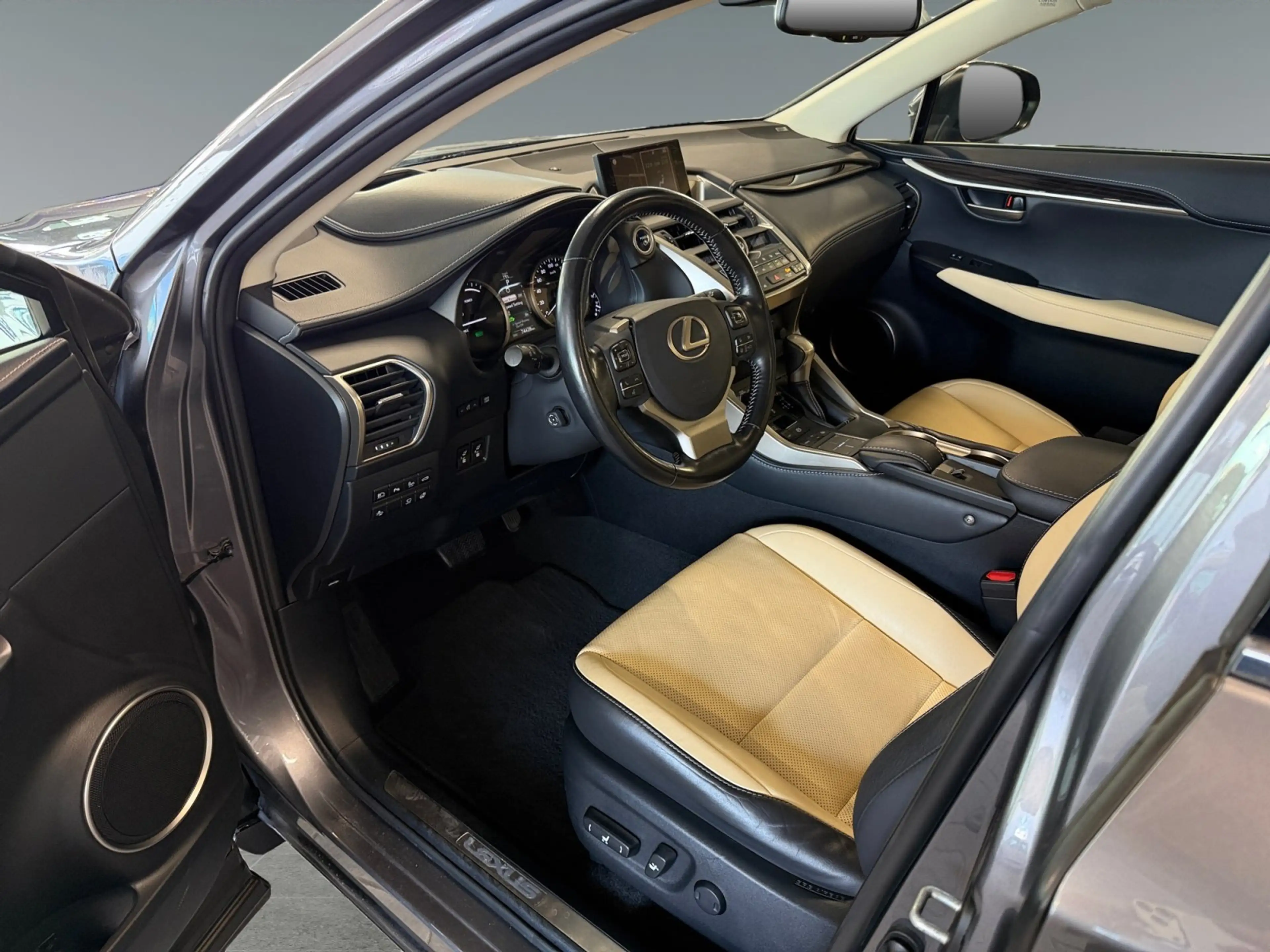 Lexus NX 300h Mark Lewinson +HeadUp+PDC+SHZ+Leder+ — photo 10
