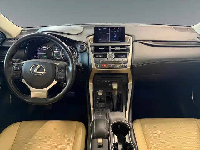 Lexus NX view 11