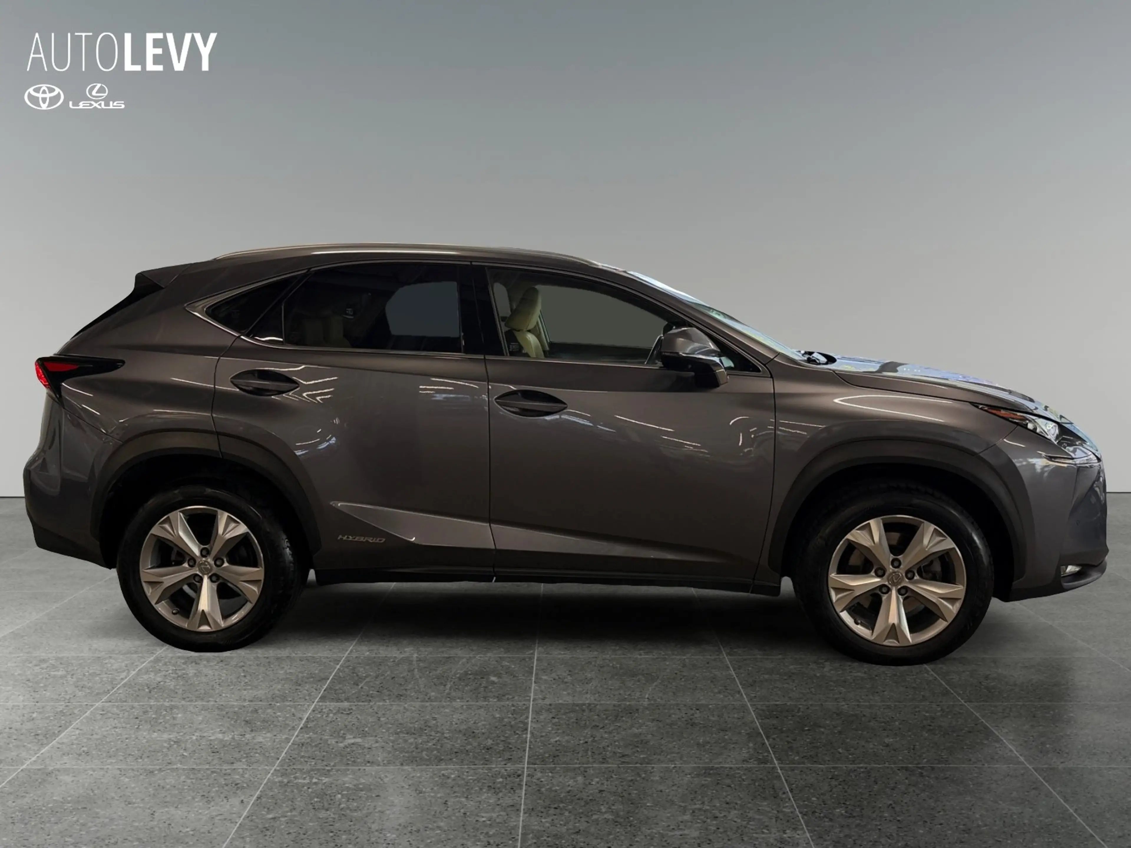 Lexus NX 300h Mark Lewinson +HeadUp+PDC+SHZ+Leder+ — photo 7