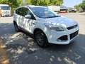Ford Kuga 2,0 TDCi Titanium 4x4 - thumbnail 12