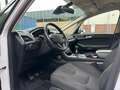 Ford S-Max 1.5 Titanium Climate C, Cruise C, Navigatie, Camer Wit - thumbnail 7