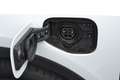 Audi Q3 45 TFSI-e PHEV | Stoelverw | Cruise | Trekhaak Wit - thumbnail 17