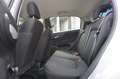 Fiat Punto Evo 0.9 TwinAir Edizione Cool Gris - thumbnail 16