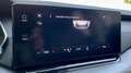 Skoda Octavia SKODA OCTAVIA 2.0 TDI EVO 115cV Grey - thumbnail 14