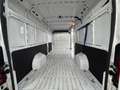 Fiat Ducato 35 Mjt 180CV Maxi “LUSSO” Automatico 9M Blanc - thumbnail 4