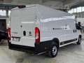 Fiat Ducato 35 Mjt 180CV Maxi “LUSSO” Automatico 9M Blanc - thumbnail 11