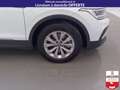 Volkswagen Tiguan eHybrid 245 DSG6 Life +GPS +Caméra Blanc - thumbnail 11
