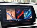 BMW iX1 xDrive 30e Grau - thumbnail 22