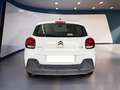 Citroen C3 III 1.5 Bluehdi 100cv S&S Business combi N1 M6 Bianco - thumbnail 6