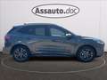 Ford Kuga 1.5 ecoblue ST-Line Design 2wd 120cv auto Gris - thumbnail 8