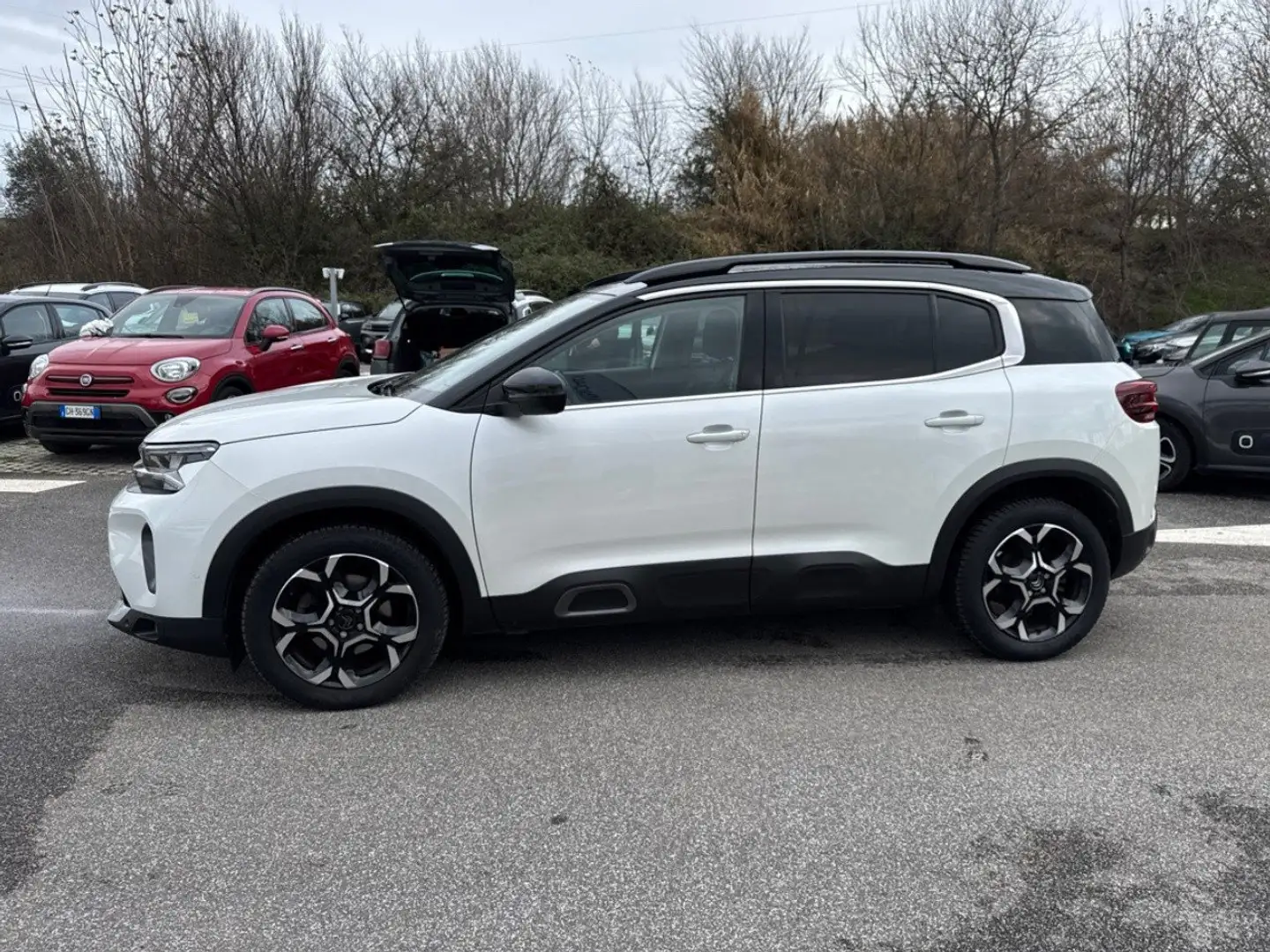 Citroen C5 Aircross BlueHDi 130 S&S Shine EAT8 Bianco - 2