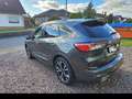Ford Kuga Ford Kuga 2.0 EcoBlue Hybrid ST-Line X - NAV+LED+P Grau - thumbnail 5
