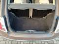Fiat 500 500 III1.2 Lounge 69cv - NUOVA CINGHIA E FRENI Brun - thumbnail 24