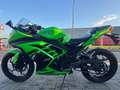 Kawasaki Ninja 300 ABS**LEOVINCE**SPEZIAL EDITION**HU, INSPEKTION NEU Green - thumbnail 9